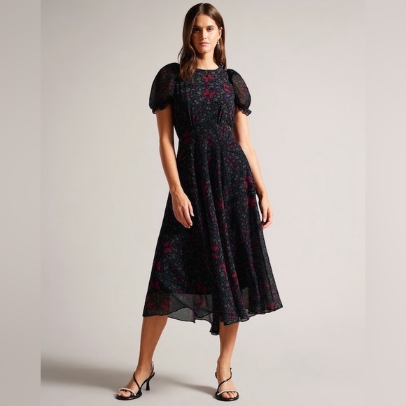 TED BAKER Daniaa Butterfly Print A-Line MIDI Dress Ted Baker Size 2 or US size 6 - Picture 1 of 15